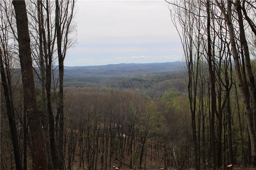 517 Upper Springs Road Pickens, SC 29671 - Photo 5 of 16