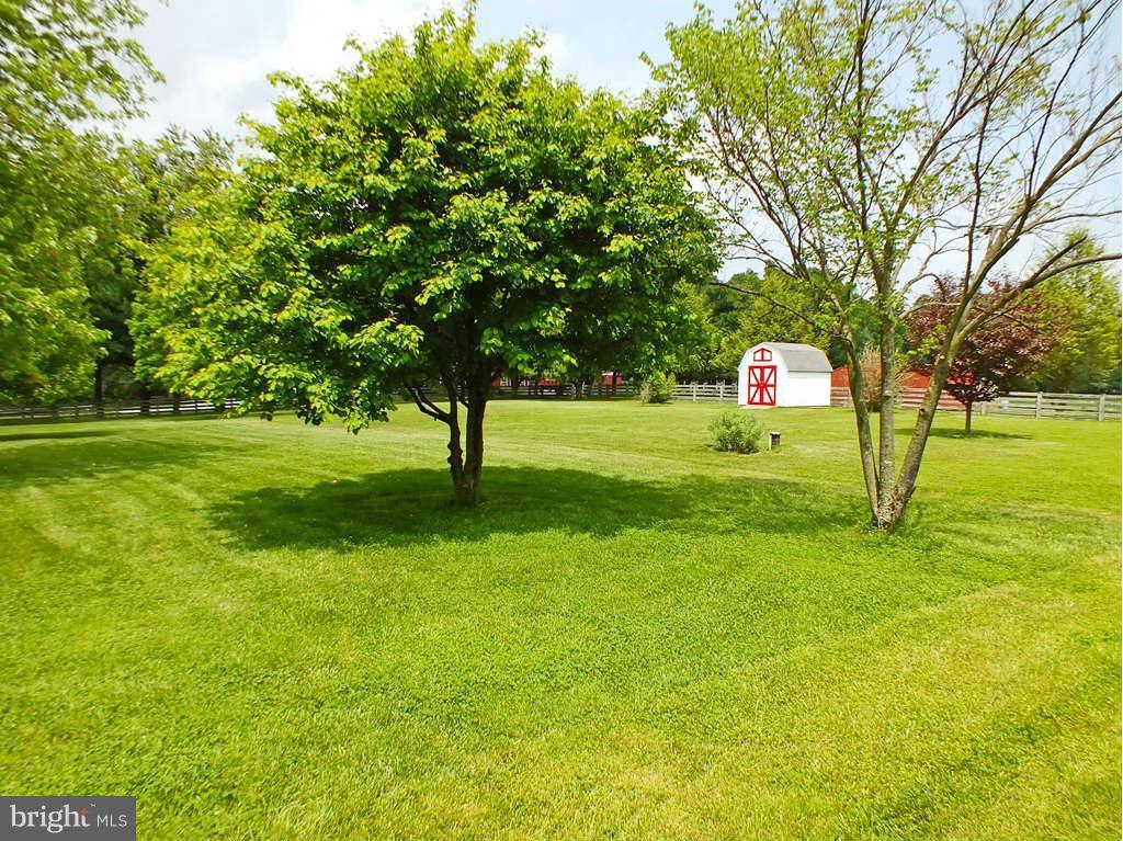 18607 Brick Store Road Hampstead, MD 21074 - Photo 29 of 30 a view of a tree in a yard