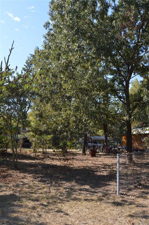 7704 Private Road 7704 Road, Unit 7704 Emory, TX 75440 - Photo 14 of 20 a view of a yard with large trees