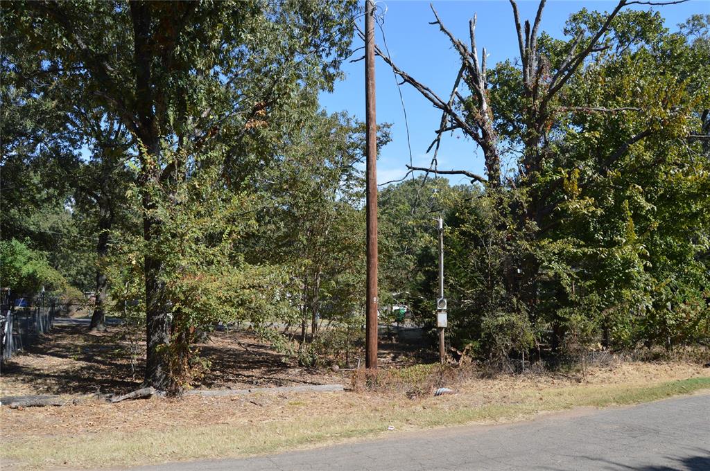 7704 Private Road 7704 Road, Unit 7704 Emory, TX 75440 - Photo 15 of 20 a picture of a tree