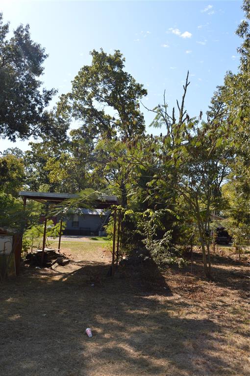 7704 Private Road 7704 Road, Unit 7704 Emory, TX 75440 - Photo 17 of 20 a view of a street with a tree
