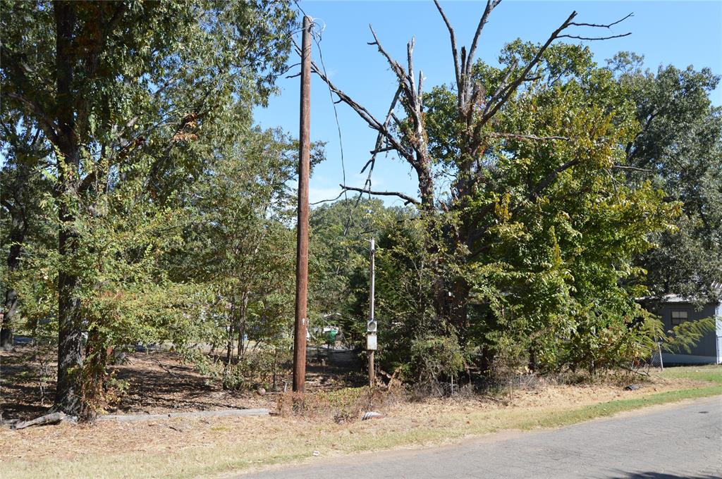 7704 Private Road 7704 Road, Unit 7704 Emory, TX 75440 - Photo 18 of 20 a picture of a tree