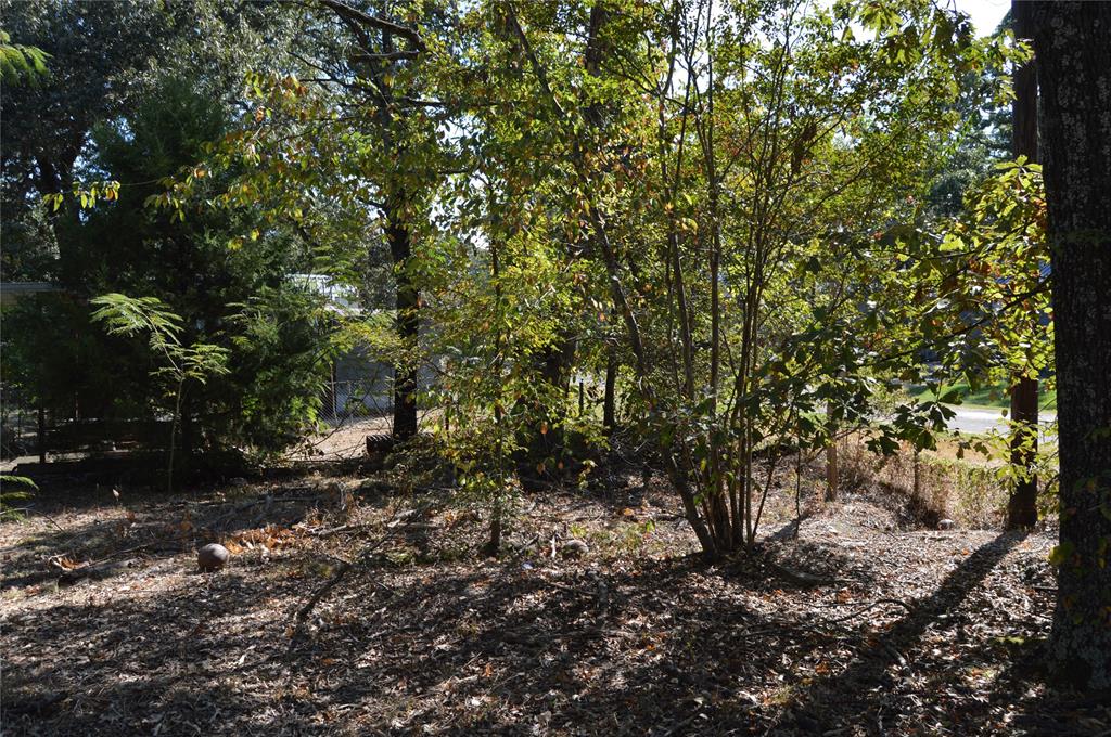 7704 Private Road 7704 Road, Unit 7704 Emory, TX 75440 - Photo 19 of 20 a view of a forest filled with trees
