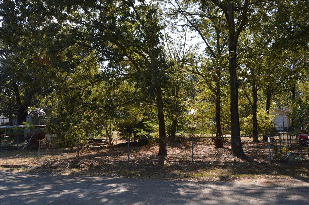 7704 Private Road 7704 Road, Unit 7704 Emory, TX 75440 - Photo 2 of 20 a view of a forest with trees