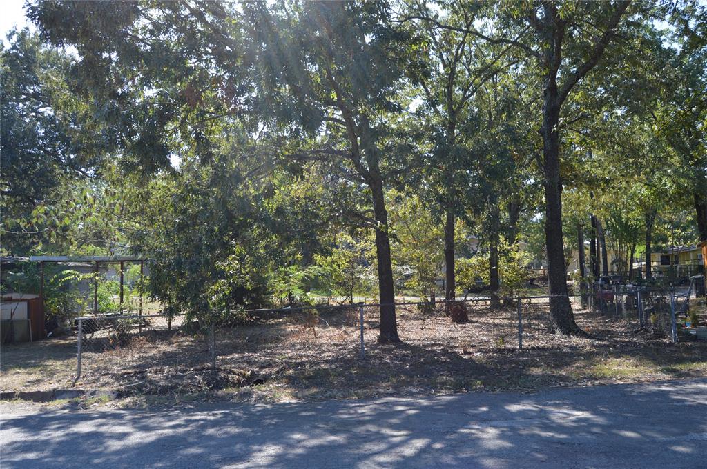 7704 Private Road 7704 Road, Unit 7704 Emory, TX 75440 - Photo 4 of 20 a view of a forest with trees