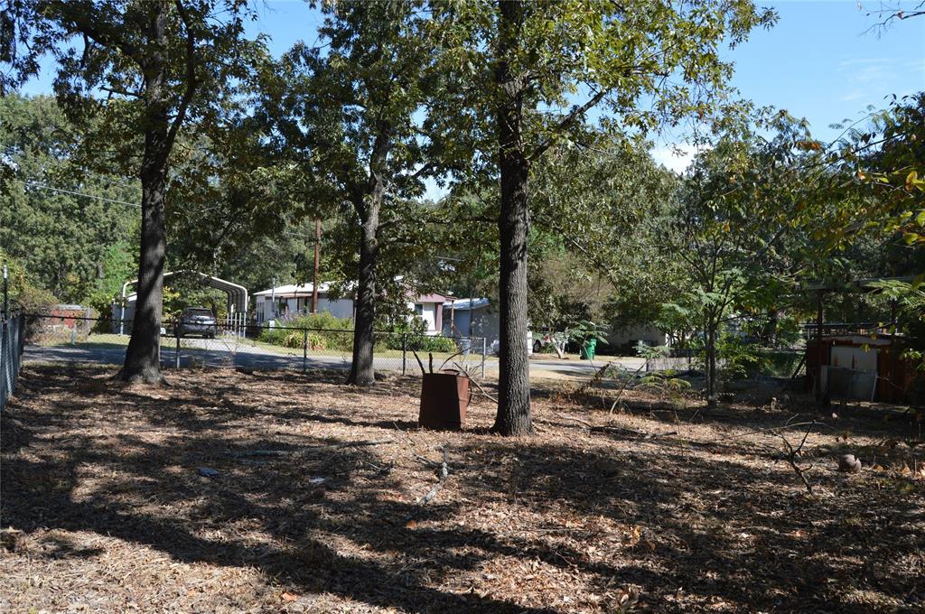 7704 Private Road 7704 Road, Unit 7704 Emory, TX 75440 - Photo 5 of 20 a view of a tree in the middle of a yard