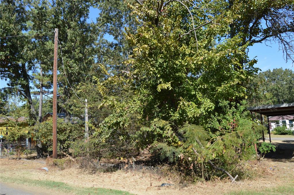 7704 Private Road 7704 Road, Unit 7704 Emory, TX 75440 - Photo 10 of 20 a view of a yard with plants