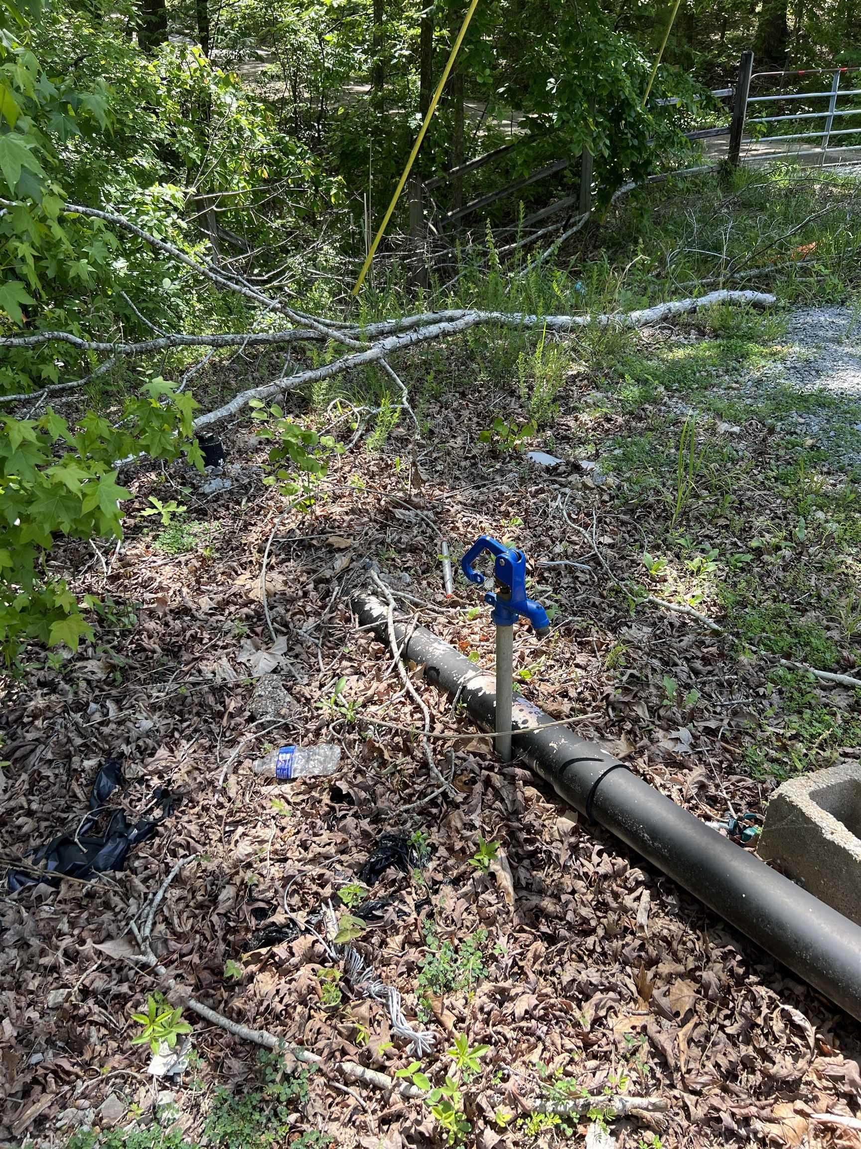 225 Micro Lane Counce, TN 38326 - Photo 5 of 7 a view of a field with plants and trees