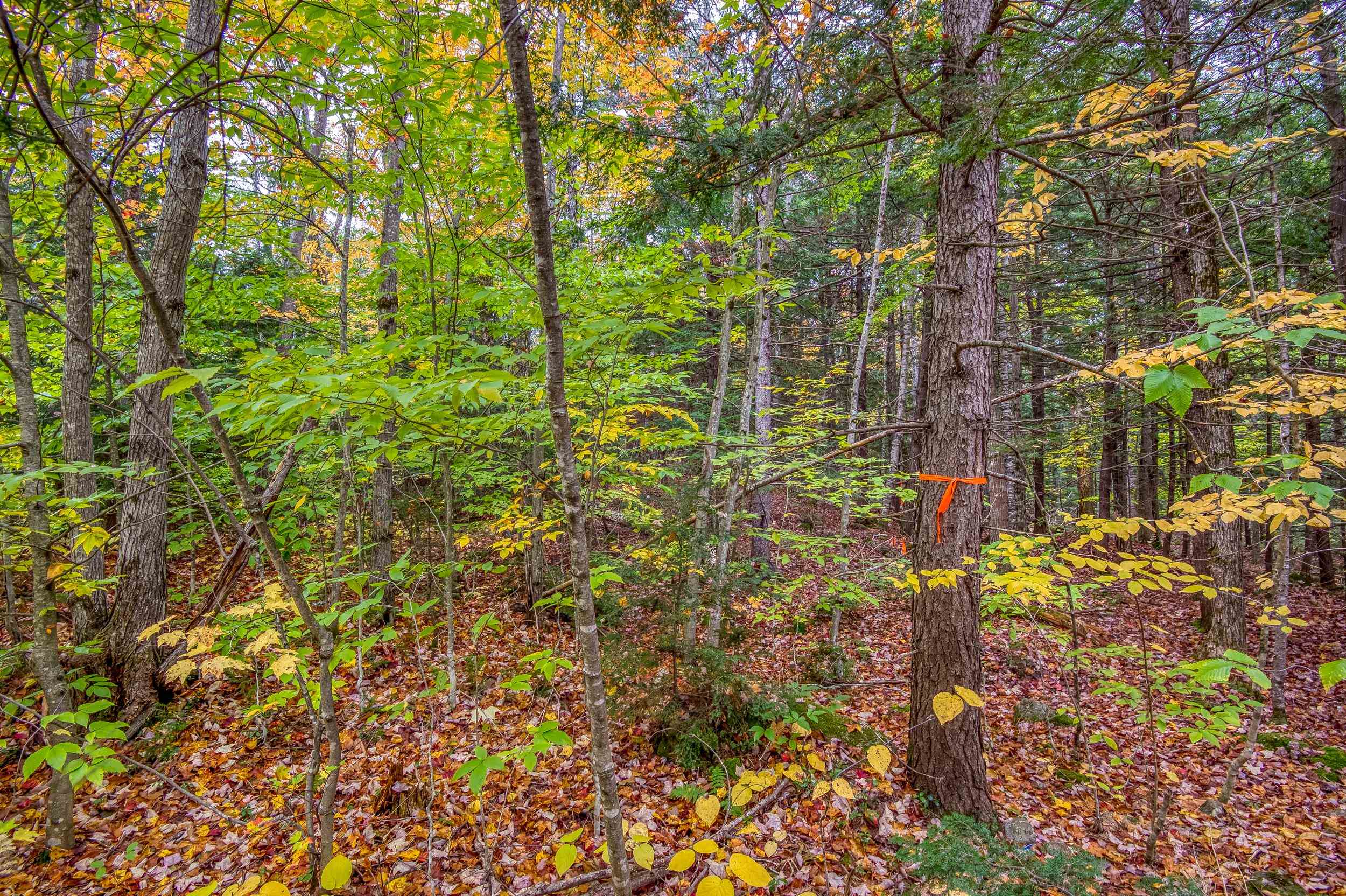 0 Ellis Ridge Road, Unit B6A Glen, NH 03838 - Photo 5 of 8 Gallery Image 5