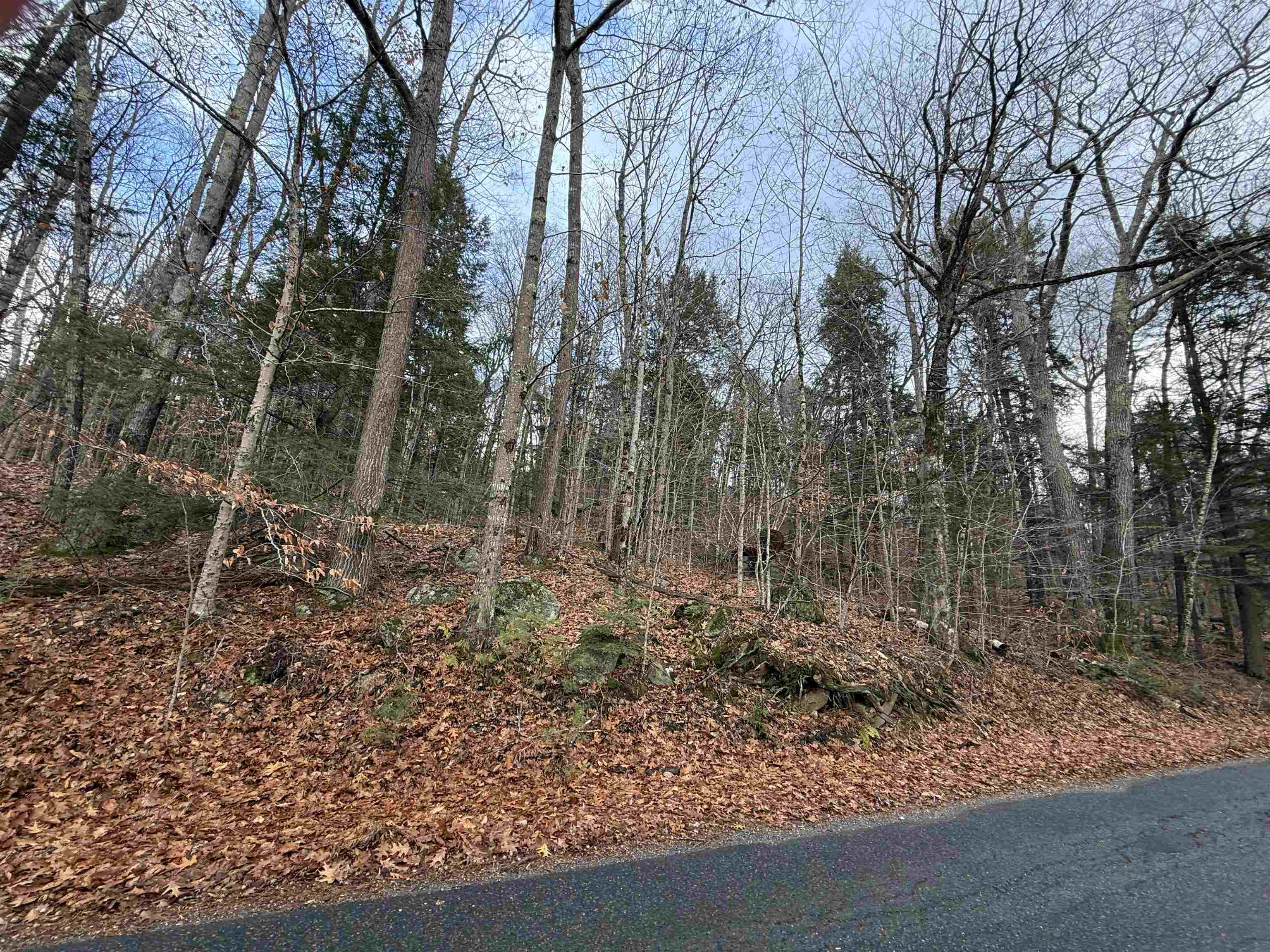 775 Goose Pond Road Canaan, NH 03741 - Photo 27 of 60