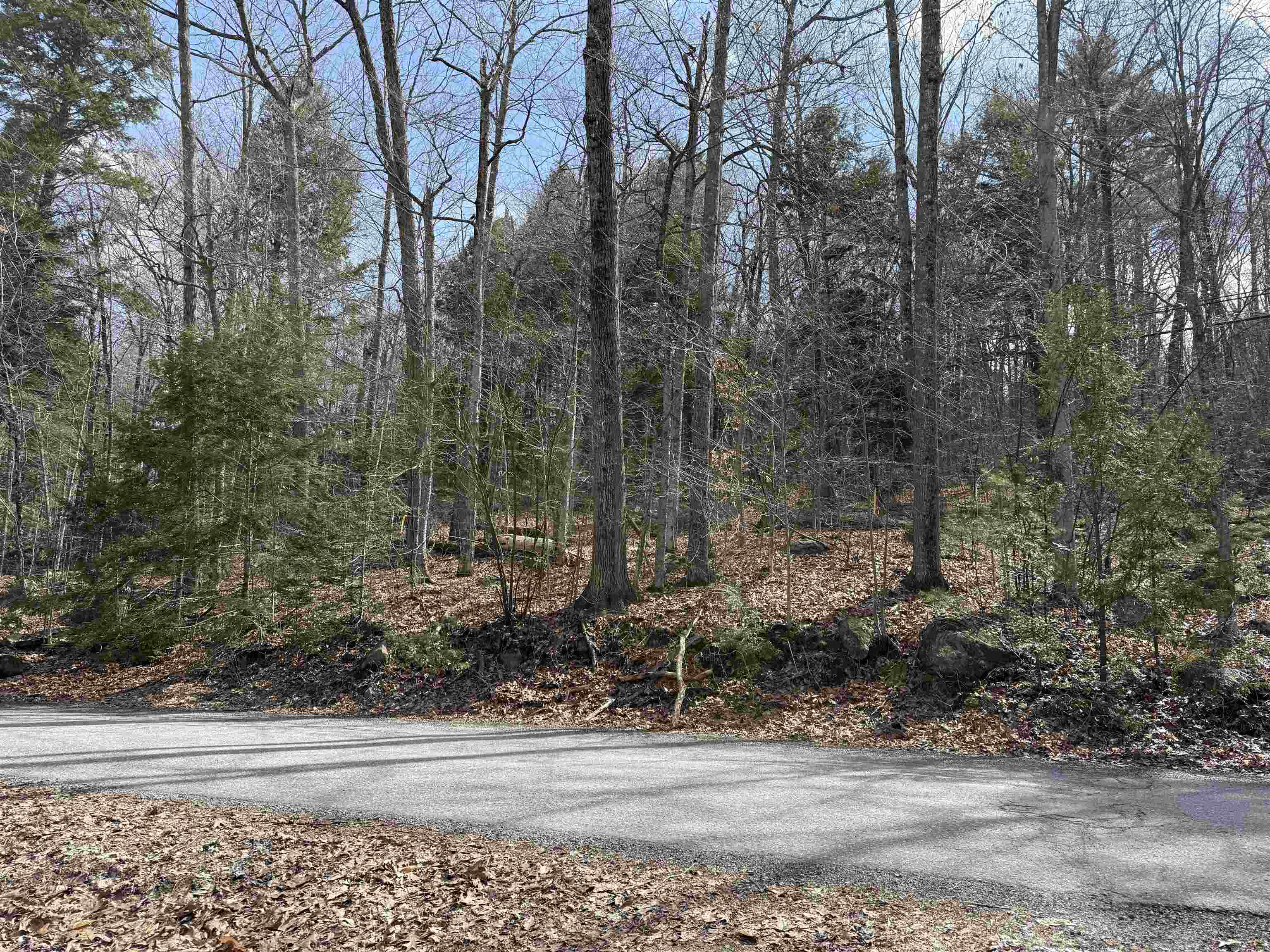 775 Goose Pond Road Canaan, NH 03741 - Photo 30 of 60