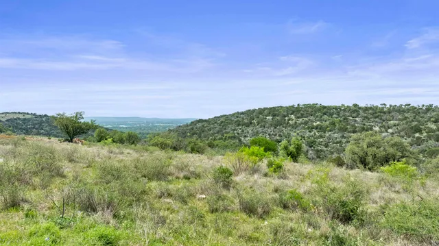 a view of a large green field with lots of bushes