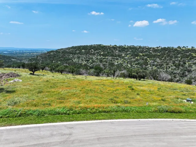 a view of an ocean and a mountain