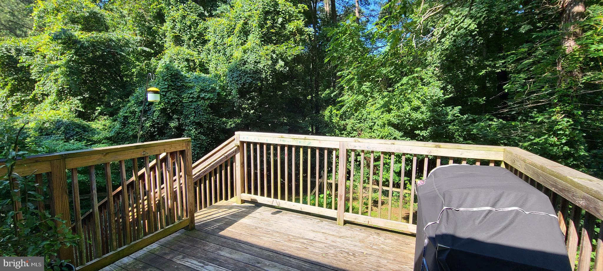 12115 Gringo Road Lusby, MD 20657 - Photo 9 of 16 Back Deck (2018)
