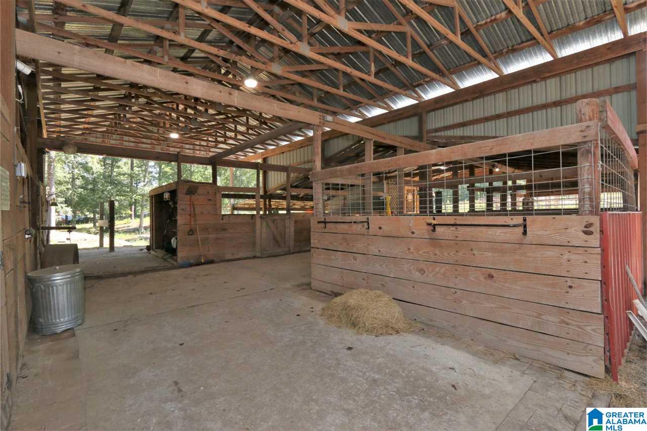 8460 Wolf Creek Road South Pell City, AL 35128 - Photo 48 of 49