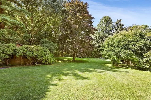 a view of a trees with a yard