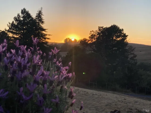 a view of a city with lush green forest