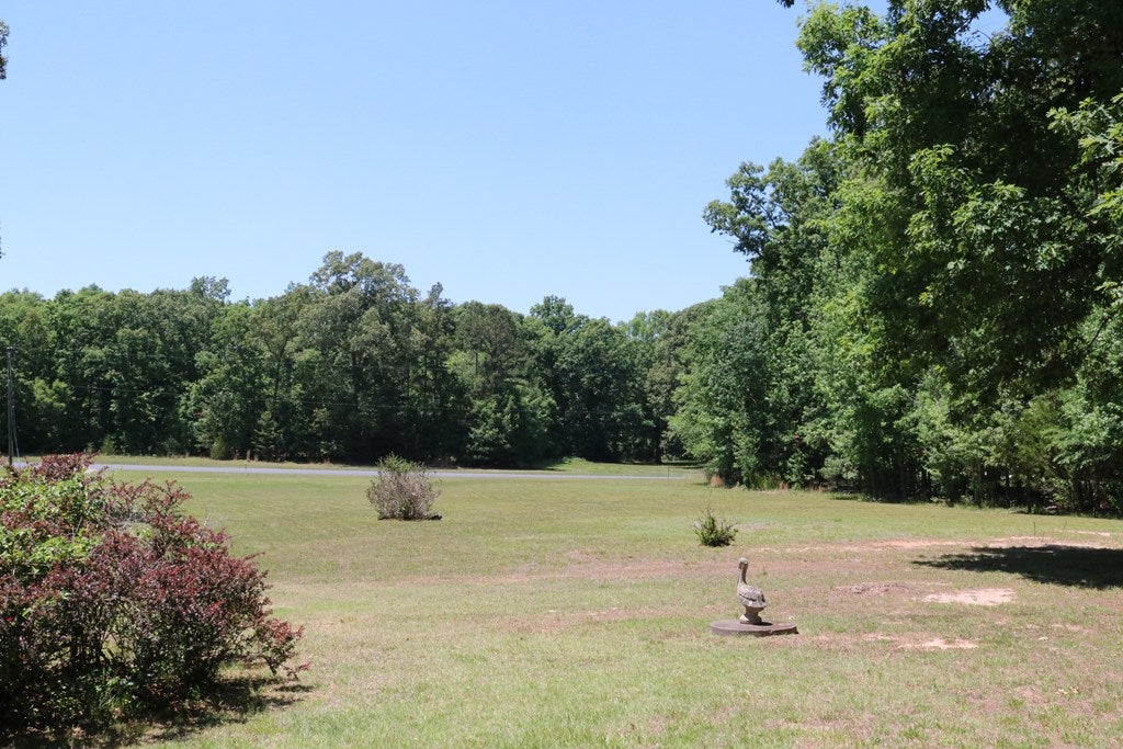 260 Asal Road Farmville, VA 23901 - Photo 31 of 34 Gallery Image 31