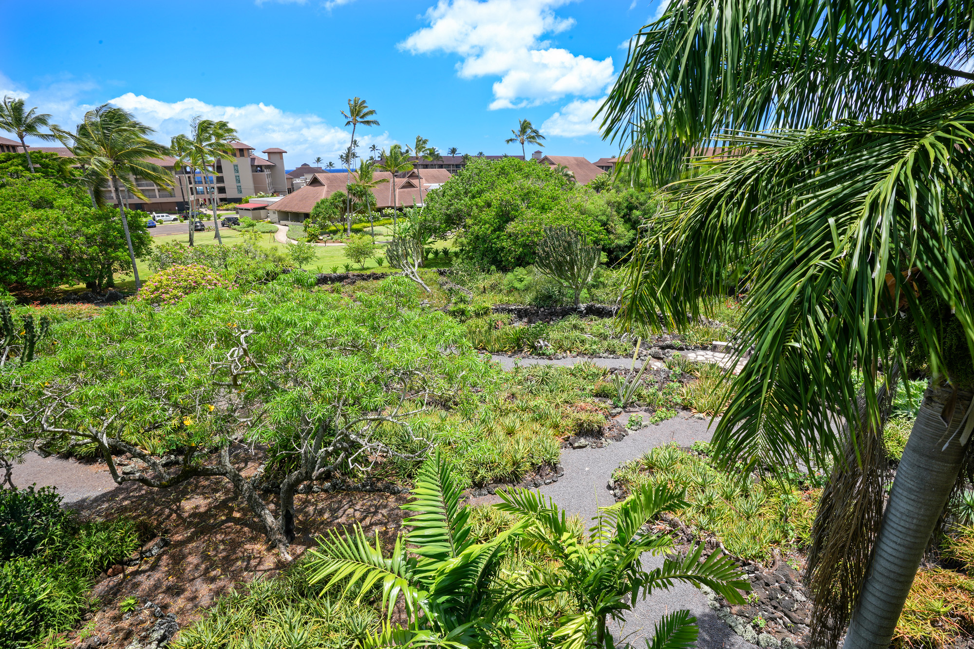 2253 Poipu Road, Unit 309 Koloa, HI 96756 - Photo 25 of 25 a view of a garden with plants