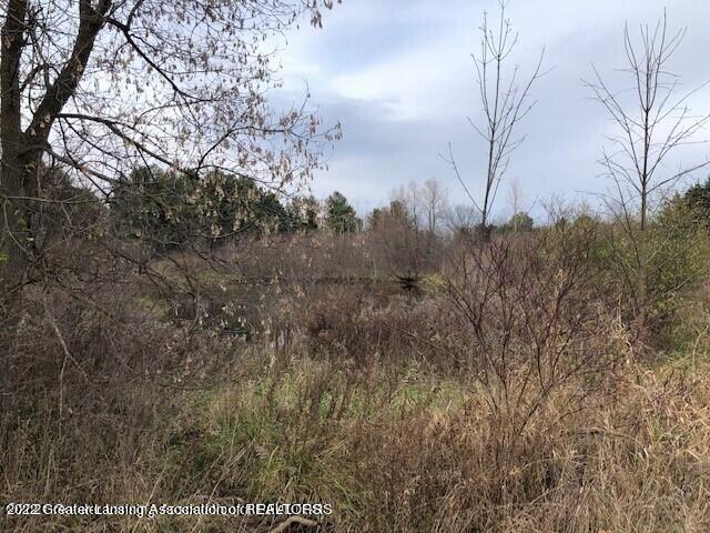 0 Skinner Highway Dimondale, MI 48821 - Photo 4 of 5 Land View