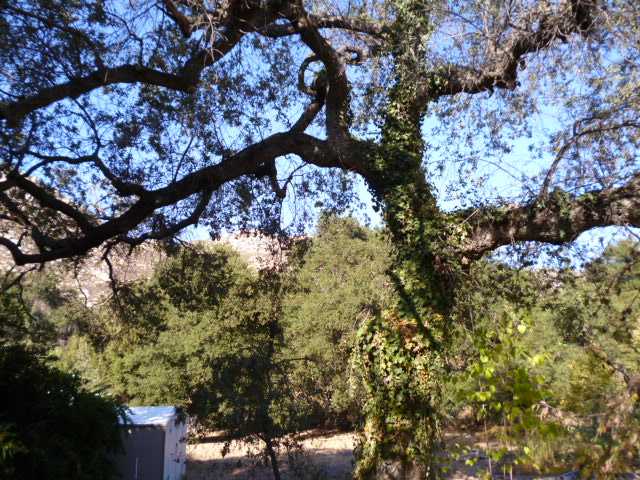25536 Pappas Road Ramona, CA 92065 - Photo 10 of 17 Gallery Image 10