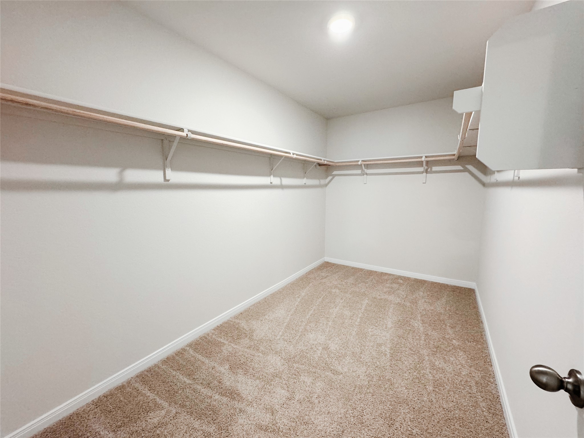 204 Addison Place Lockhart, TX 78644 - Photo 16 of 39 Walk in closet featuring light colored carpet