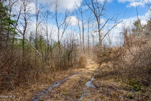 $355,500 | L3 Mcgill Road, East Nassau, NY 12062