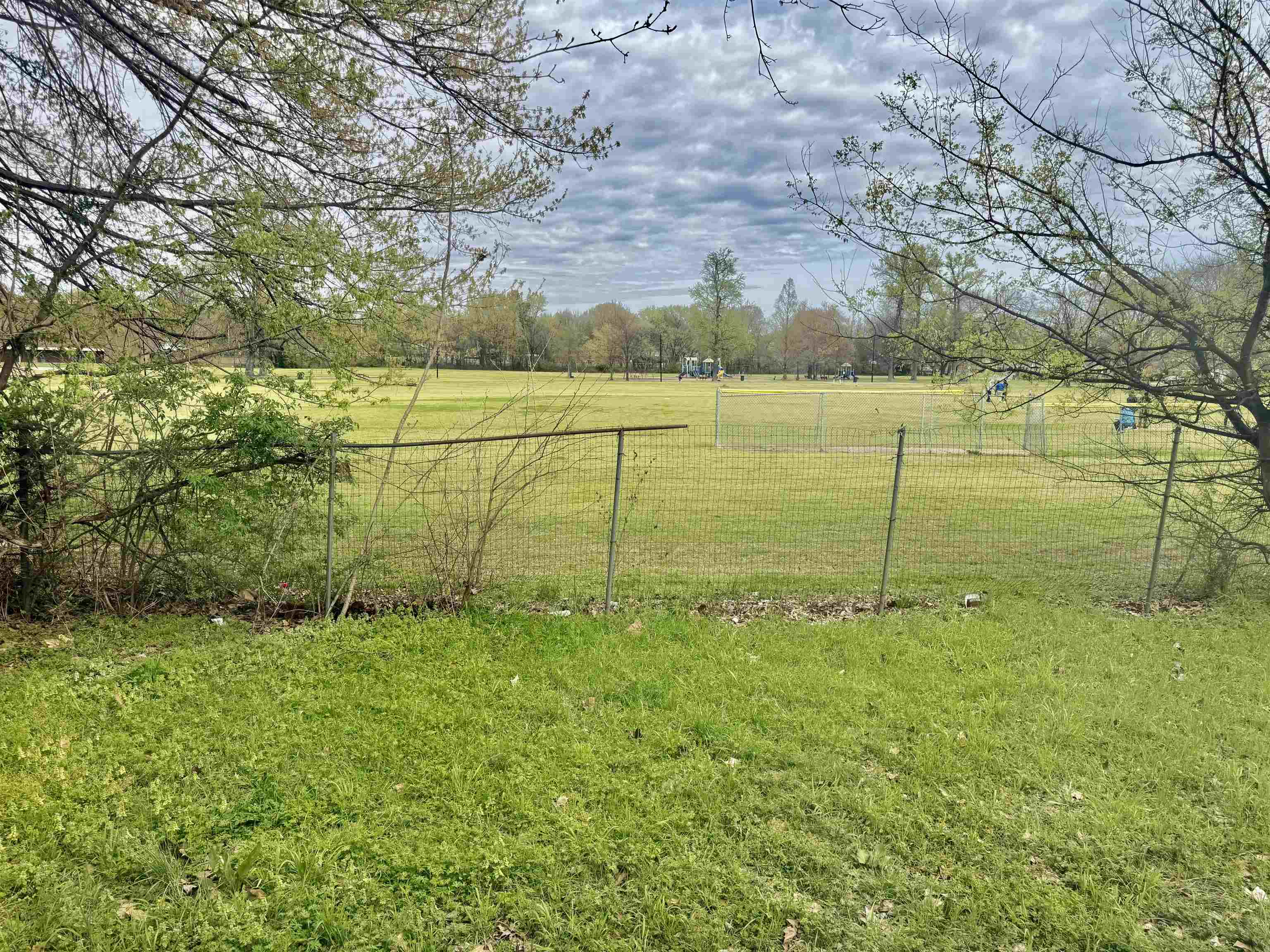 1448 Menager Road Memphis, TN 38106 - Photo 8 of 17 a view of a garden