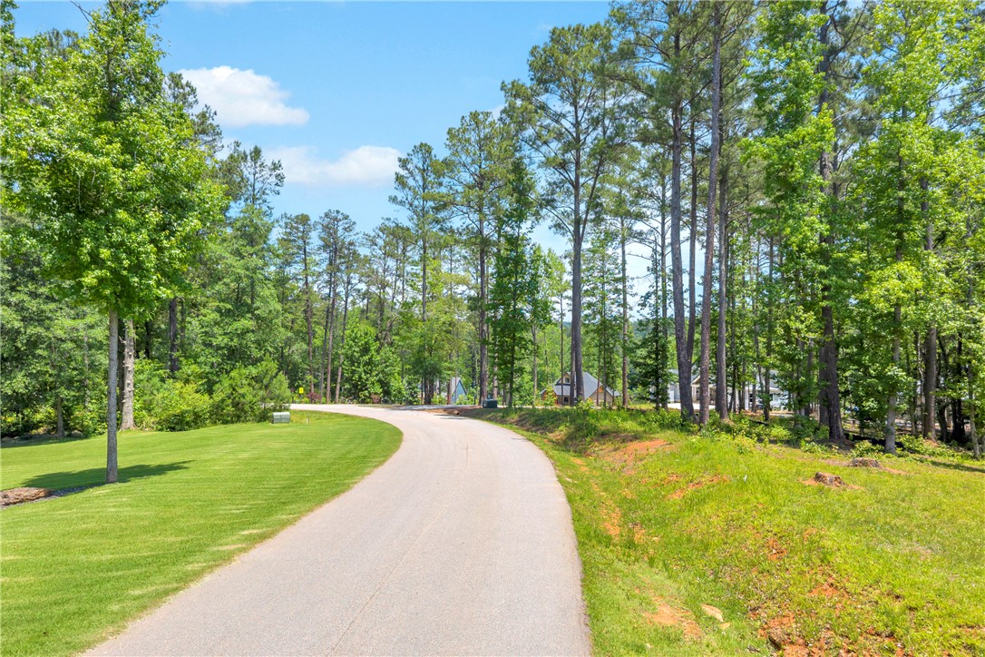 Lot 60 Harbor Point Seneca, SC 29672 - Photo 27 of 30 A tranquil, tree-lined road leads to a private, wooded residential enclave.