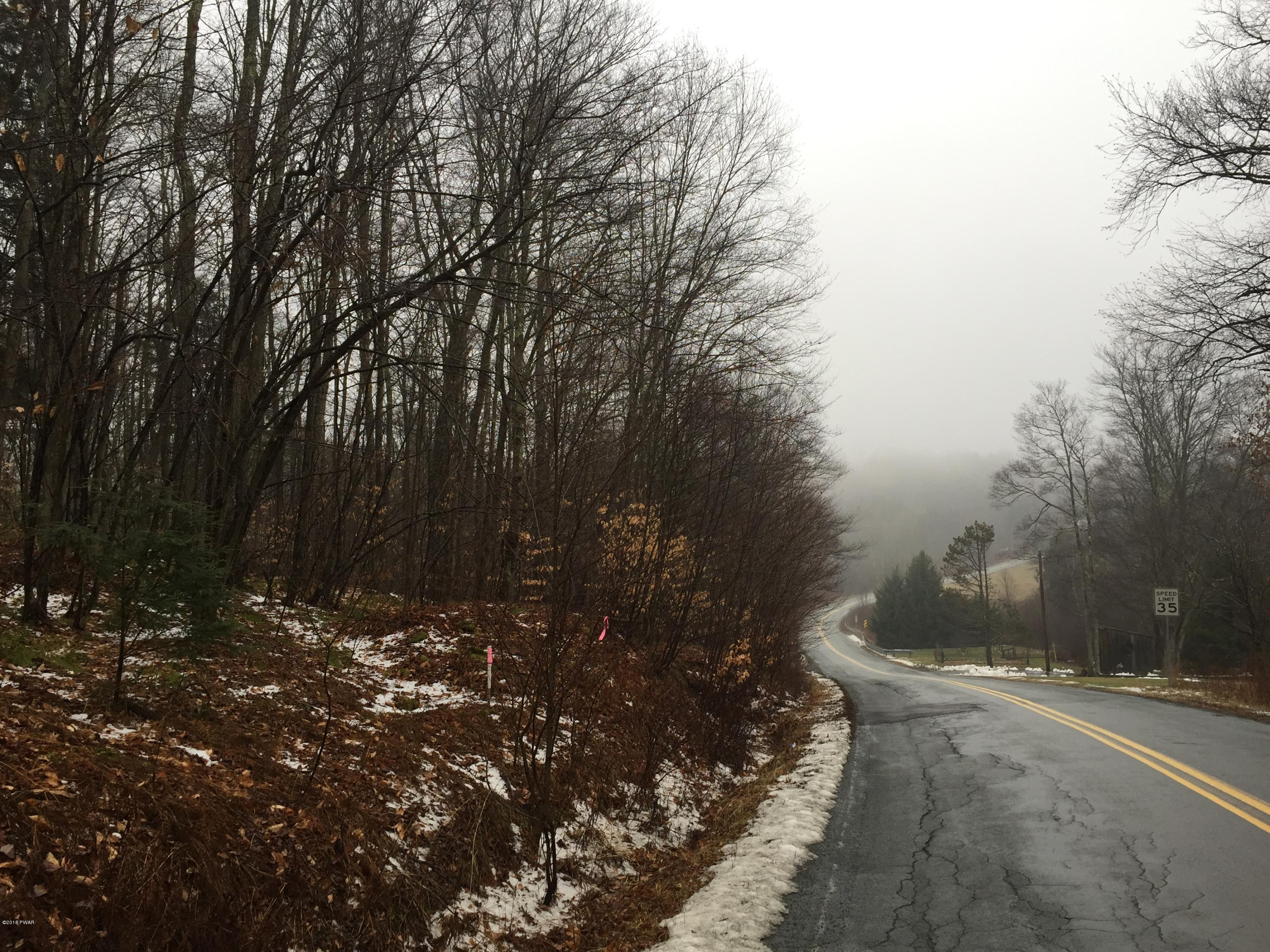 Butternut Flats Road Honesdale, PA 18431 - Photo 2 of 2