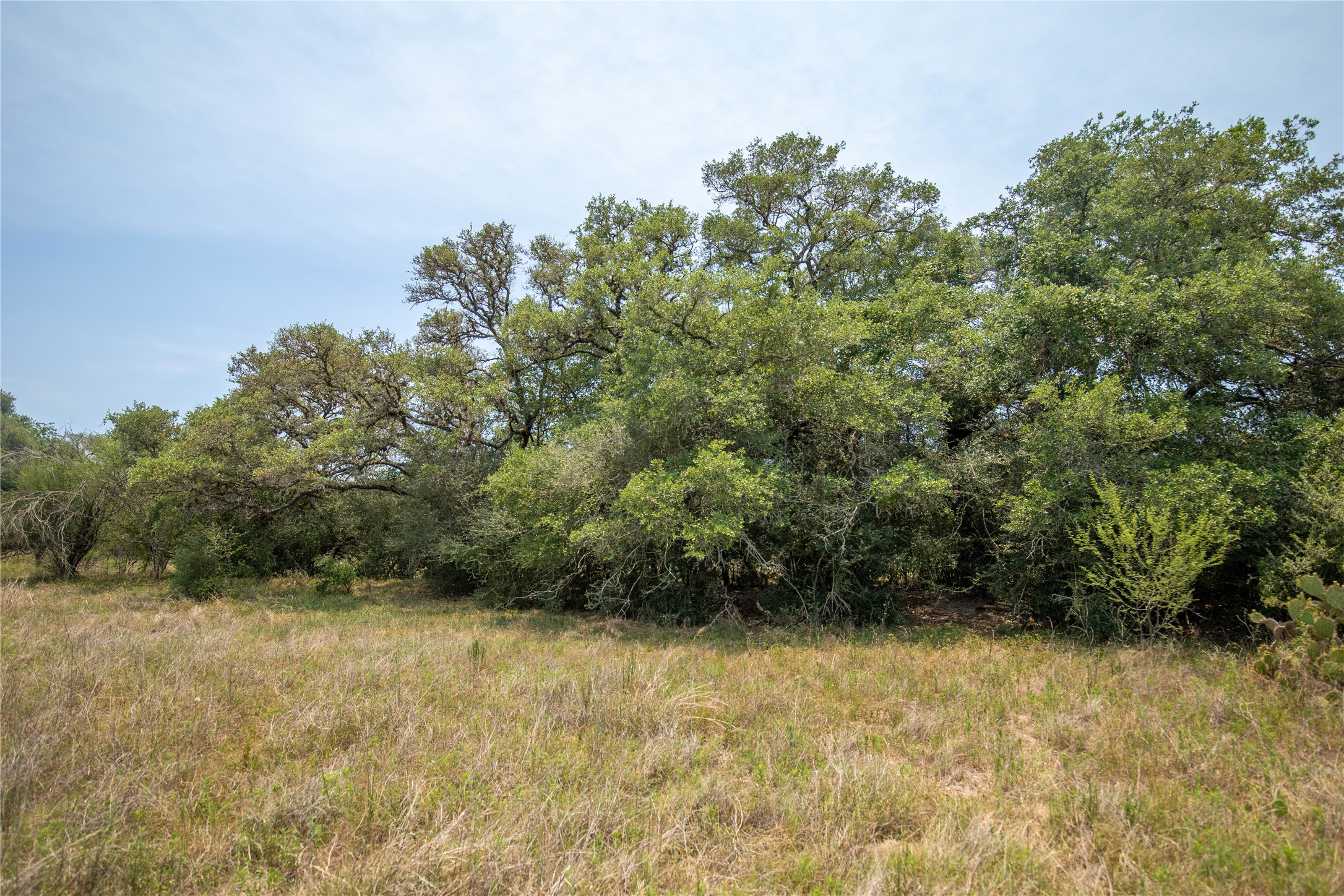 0 Green Dewitt Road Cuero, TX 77954 - Photo 27 of 40