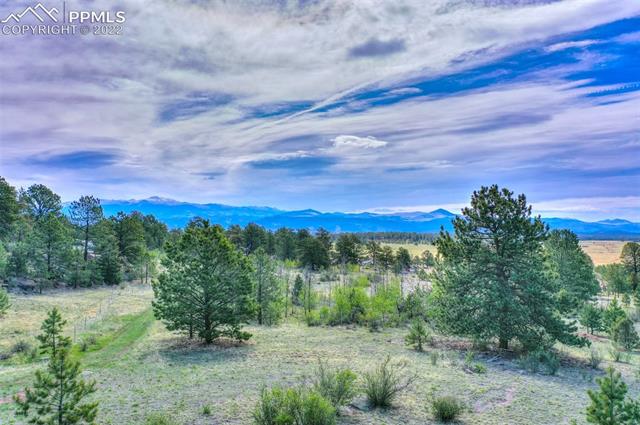 339 Chipper Road Guffey, CO 80820 - Photo 10 of 34 Gallery Image 10