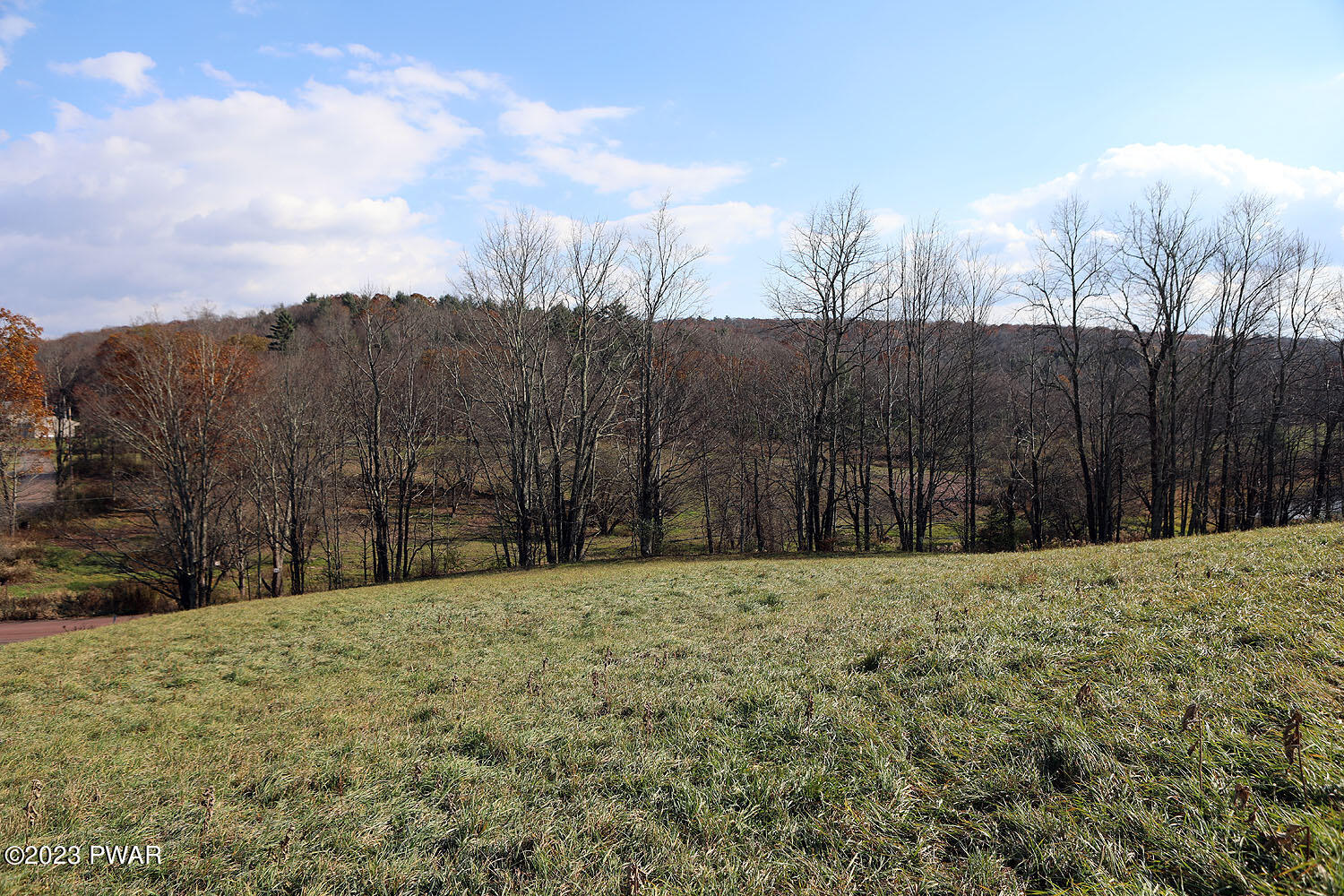 0 Marks Road Damascus, PA 18415 - Photo 32 of 33