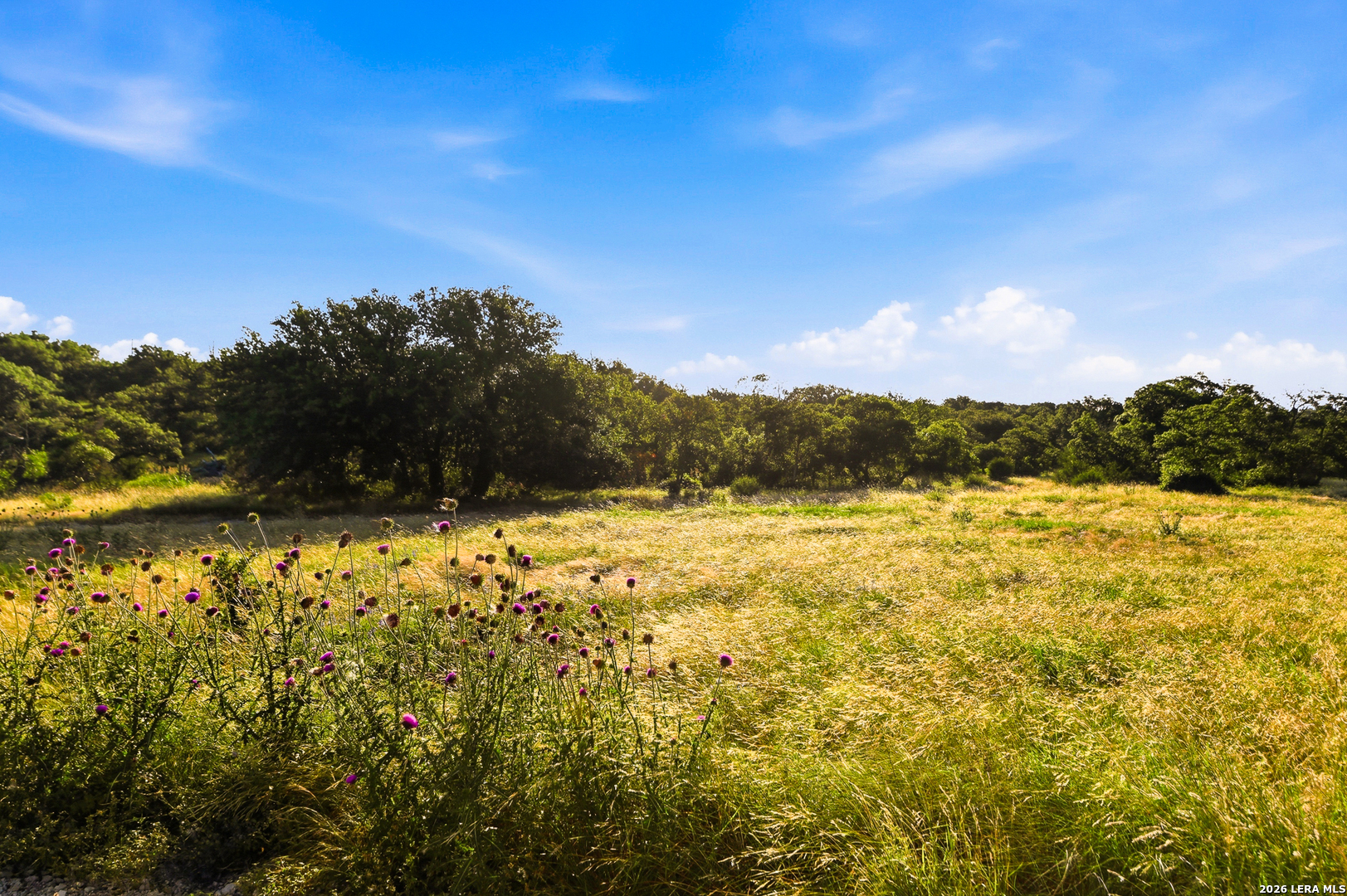 189 Taurus Lane Junction, TX 76849 - Photo 12 of 31