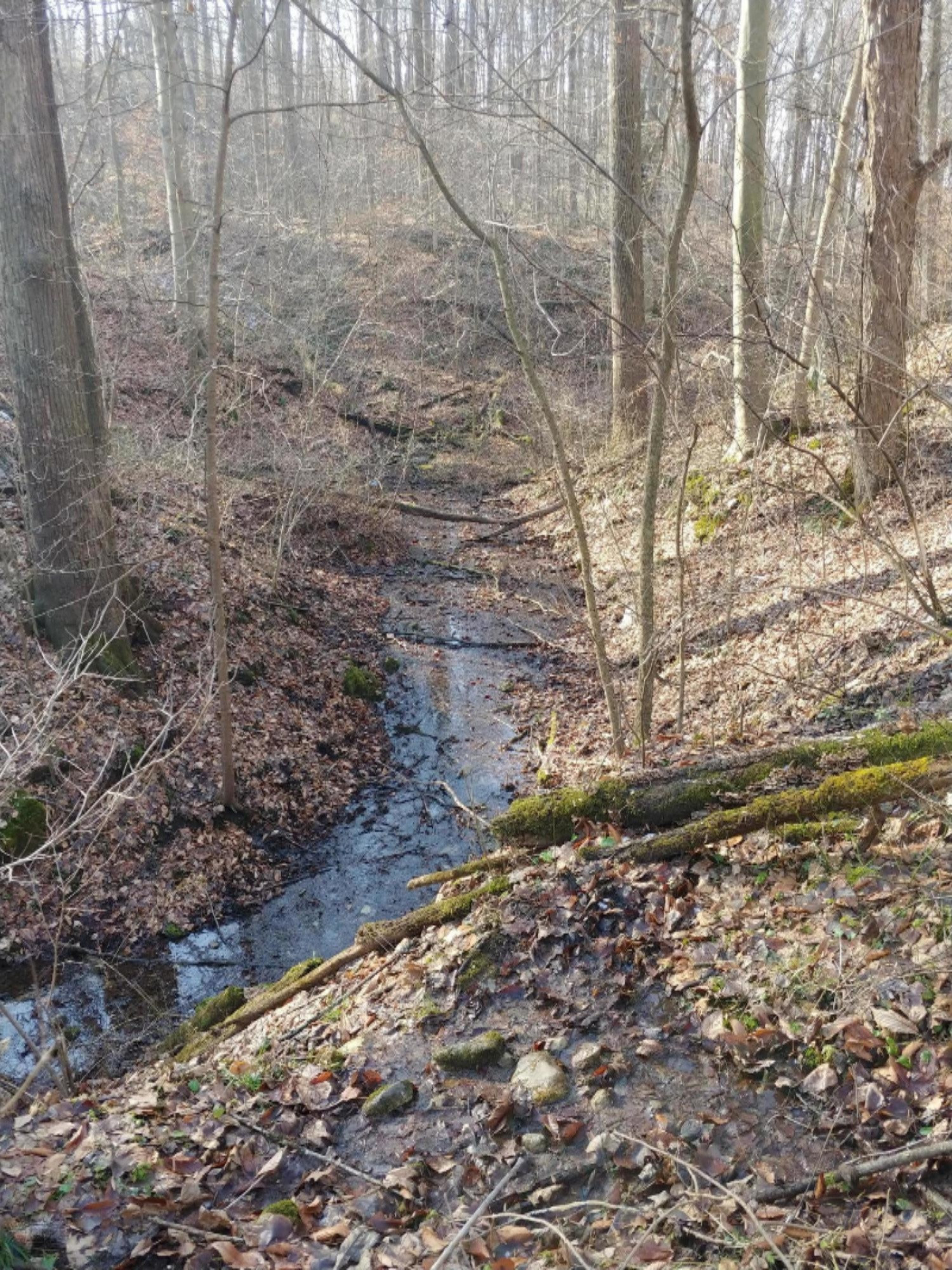 Range Line Road Berrien Springs, MI 49103 - Photo 2 of 3 Brandt 109 Acres Photo 2