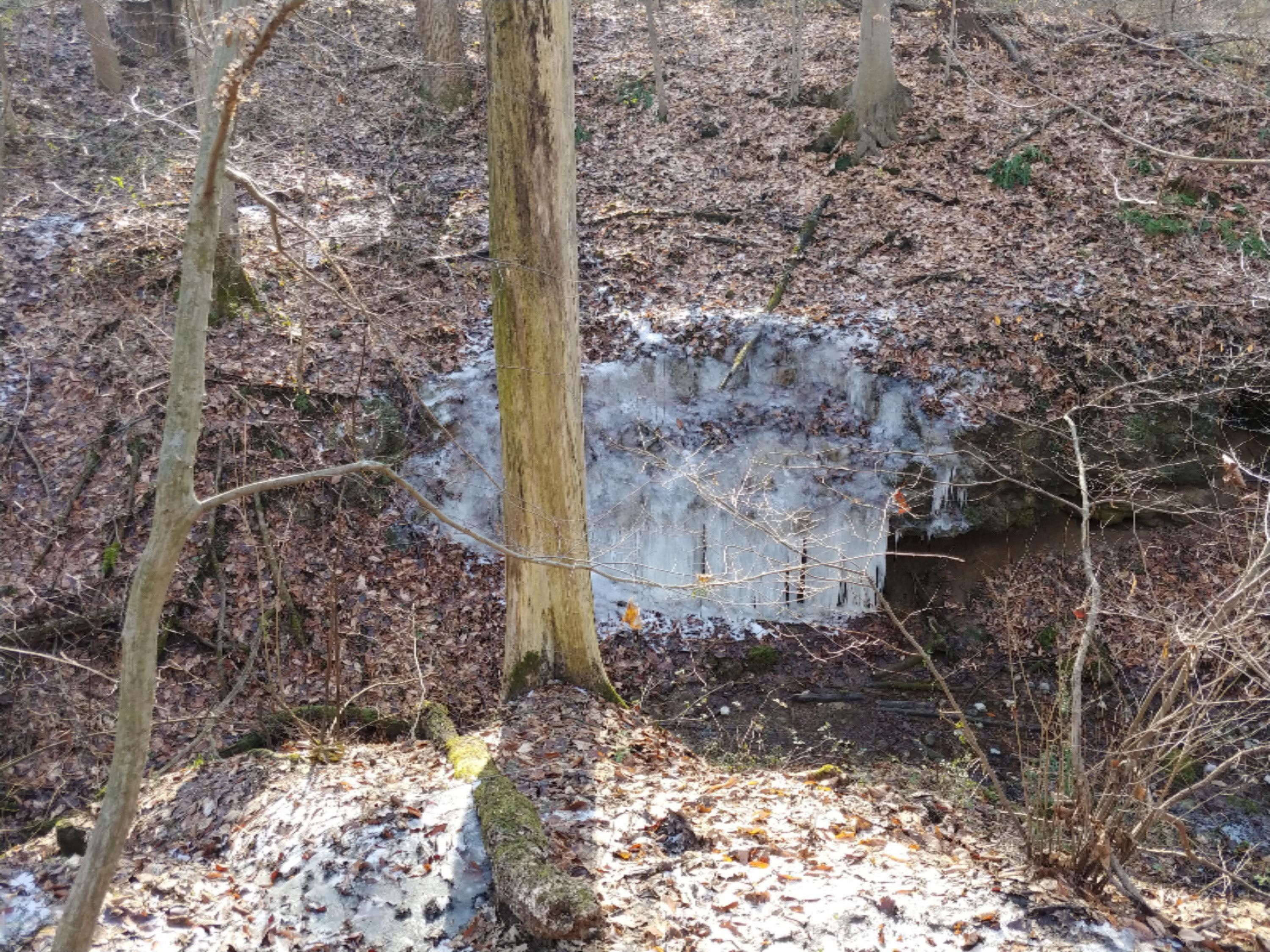 Range Line Road Berrien Springs, MI 49103 - Photo 3 of 3 Brandt 109 Acres Photo 1