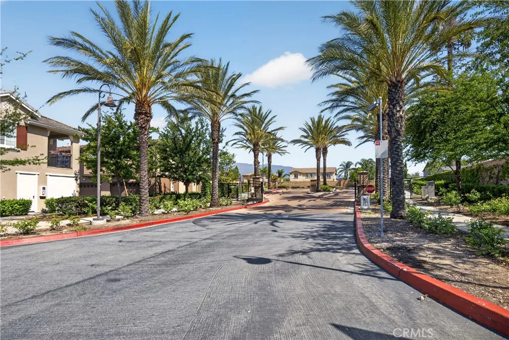 16001 Chase Road Fontana, CA 92336 - Photo 16 of 16 a row of palm trees in front of a house