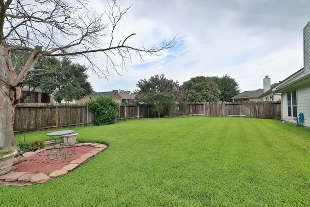 a view of a backyard with plants and wooden fence