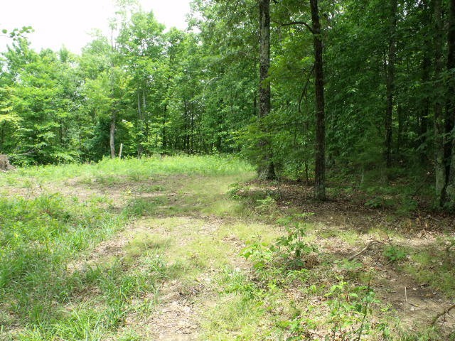 0 Garren Road Madisonville, TN 37354 - Photo 6 of 7 Gallery Image 6