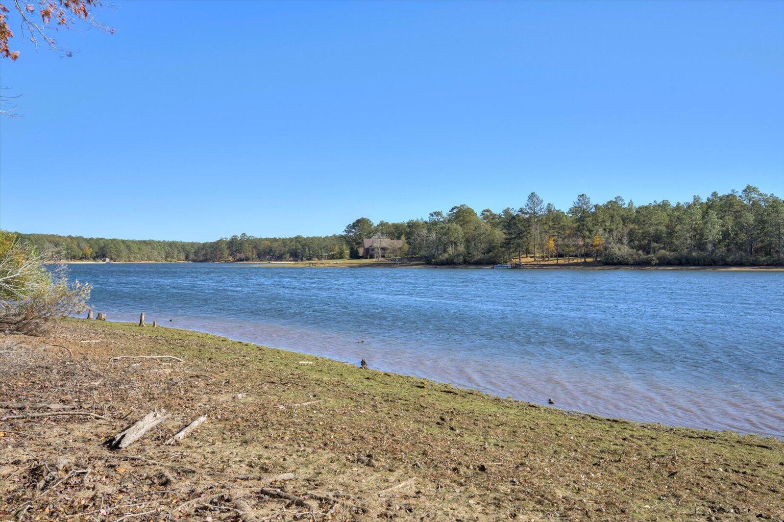 411 Edisto Lake Road Wagener, SC 29164 - Photo 58 of 72