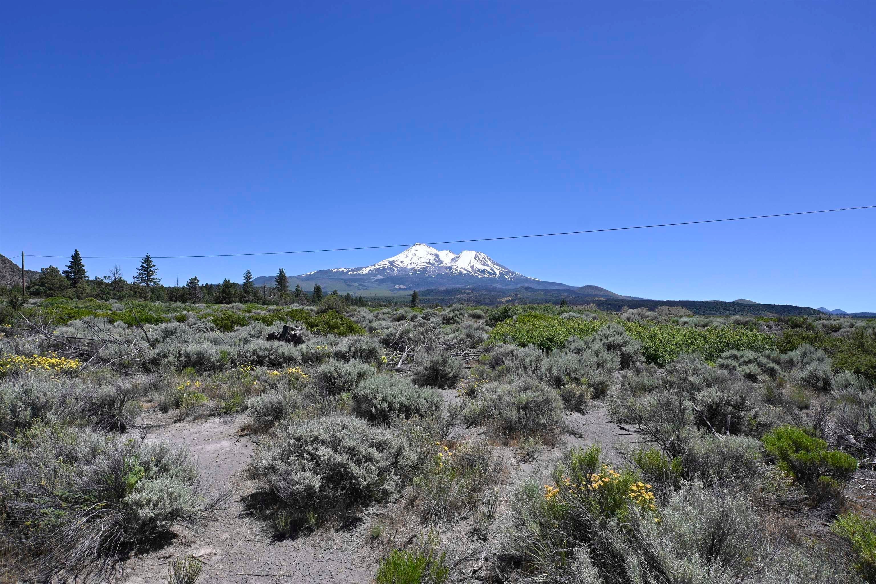 Lot 09 Timber Road Montague, CA 96064 - Photo 7 of 19 Gallery Image 7