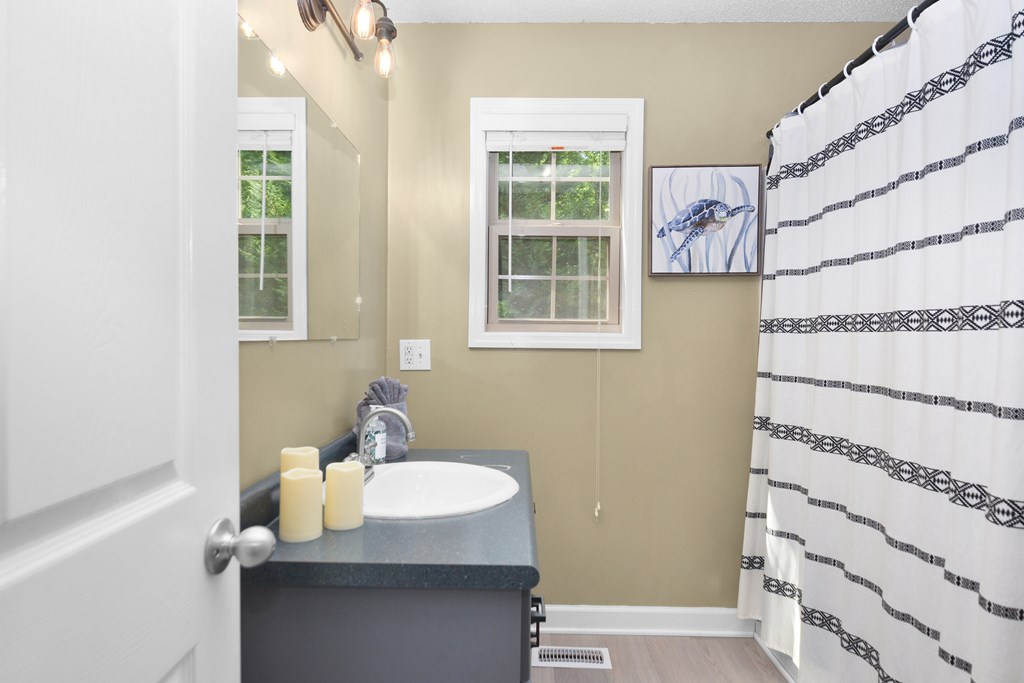 78 Bluebird Lane Blue Ridge, GA 30513 - Photo 19 of 29 a bathroom with a sink and a mirror