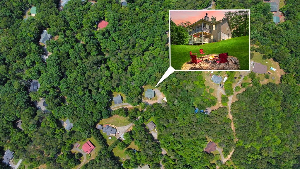 78 Bluebird Lane Blue Ridge, GA 30513 - Photo 29 of 29 a view of a bunch of flowers in a garden