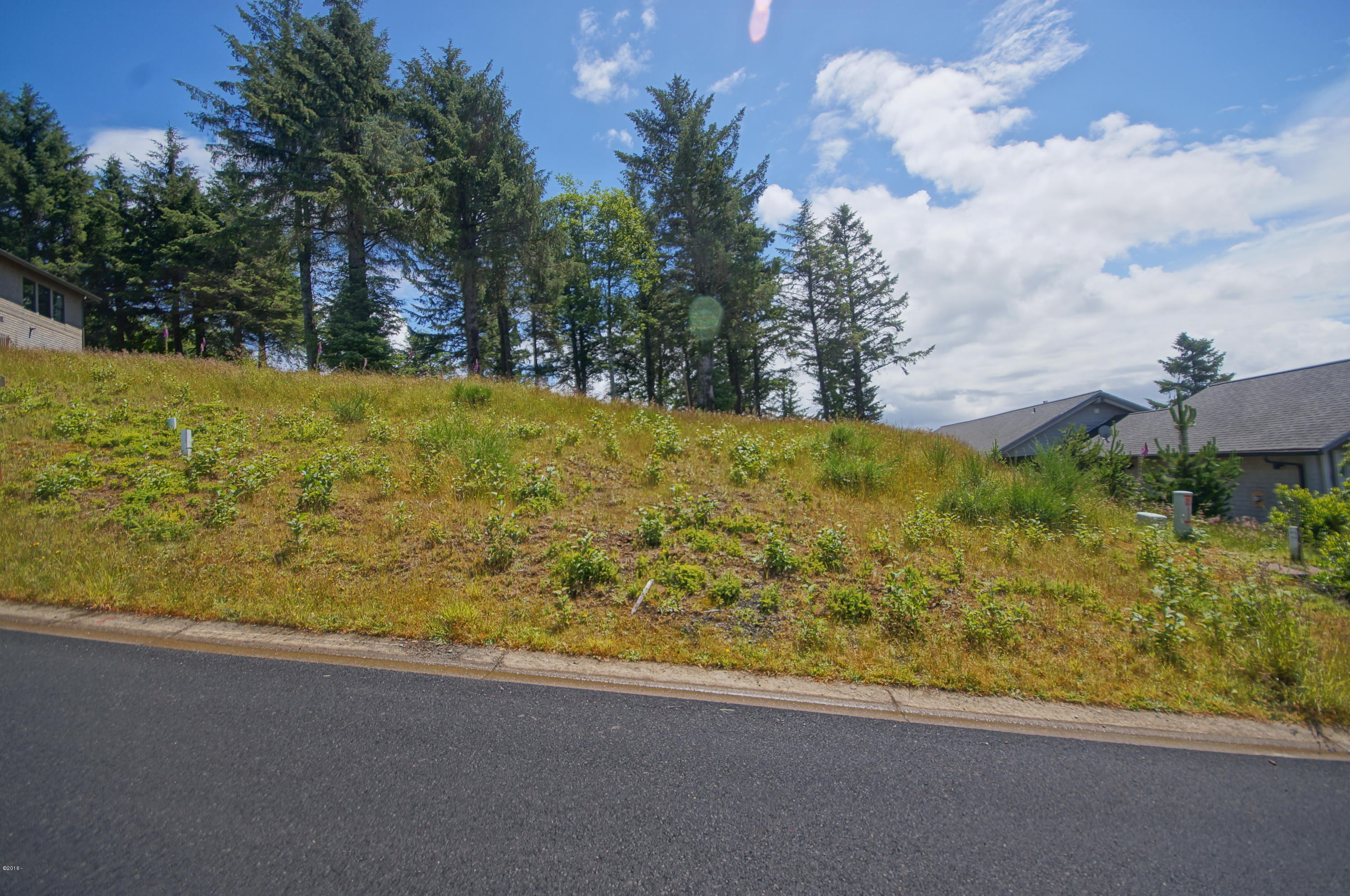 Lot 2 Brooten Mountain Road Pacific City, OR 97135 - Photo 2 of 11 Lot from Street