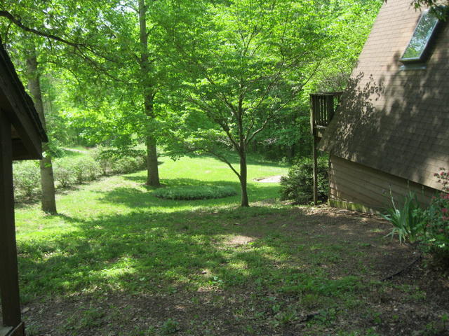 104 Meadowlark Road Blue Ridge, VA 24064 - Photo 4 of 19 a view of yard with trees