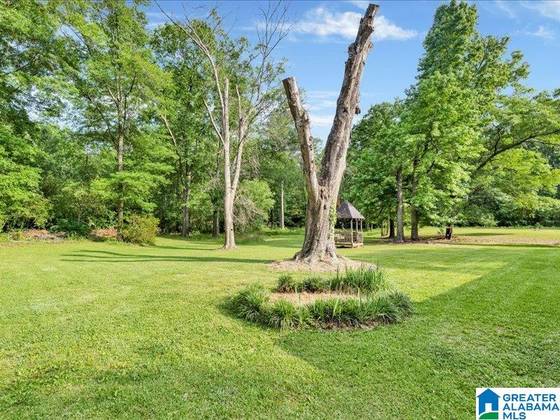 6402 Lou George Loop Bessemer, AL 35022 - Photo 26 of 42