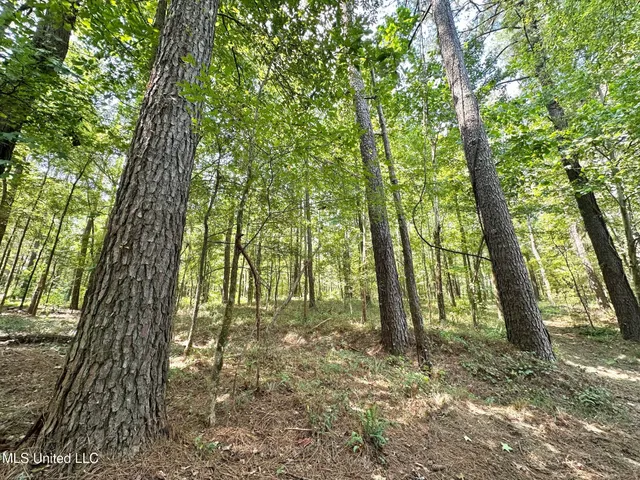 $1,039,000 | 1 Champion Hill Road, Bolton, MS 39041