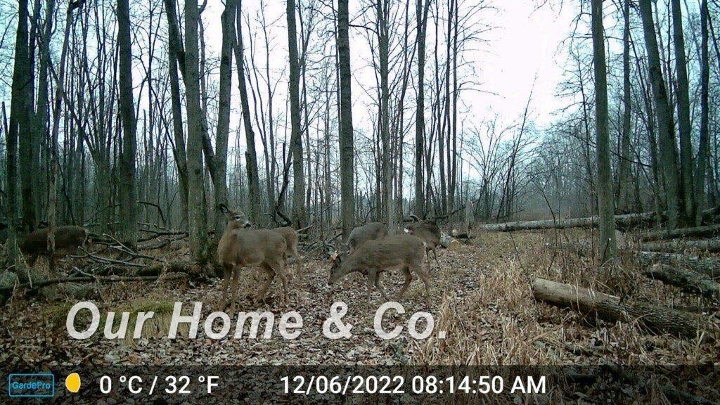 0 North Carter Road Pinconning, MI 48650 - Photo 28 of 29