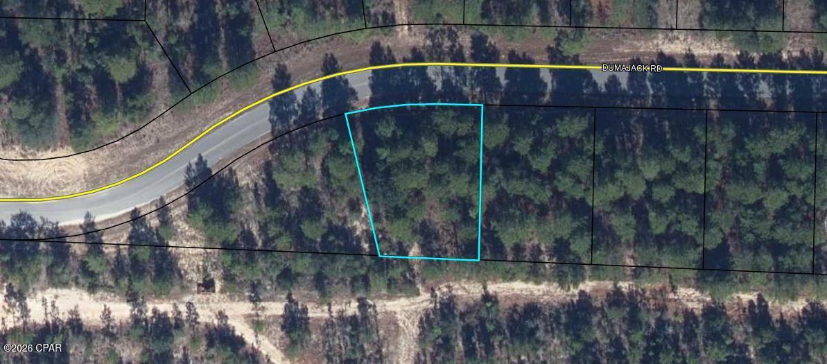 Lot 2 Dumajack Road Chipley, FL 32428 - Photo 6 of 33