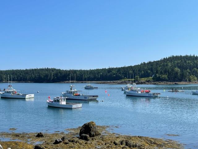 Xx Destiny Bay Road Cutler, ME 04626 - Photo 24 of 27 IMG_5758
